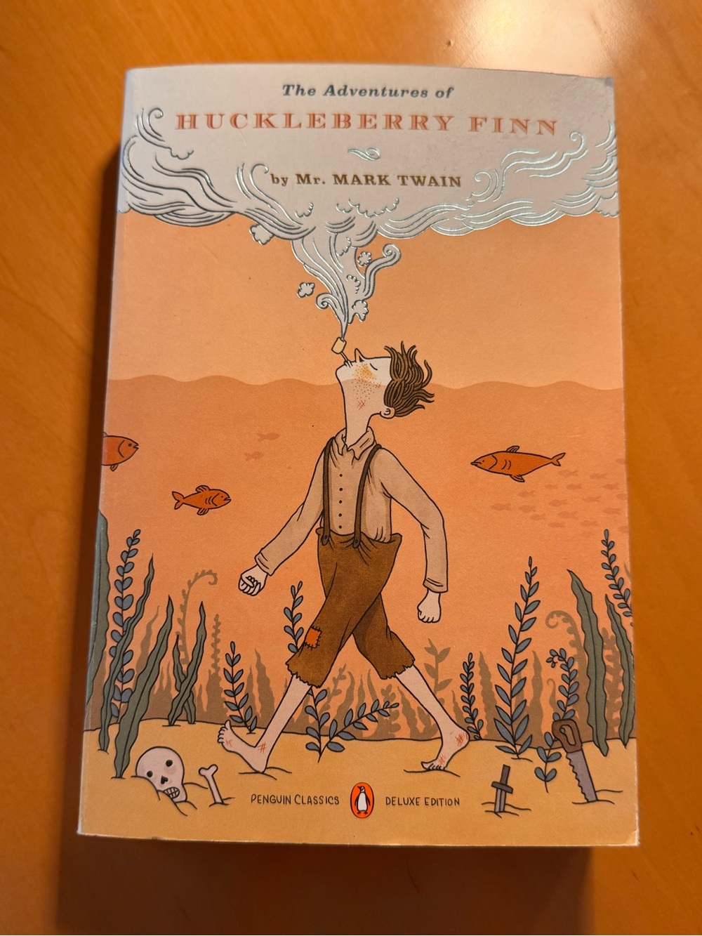 Huckleberry Finn by Mark Twain